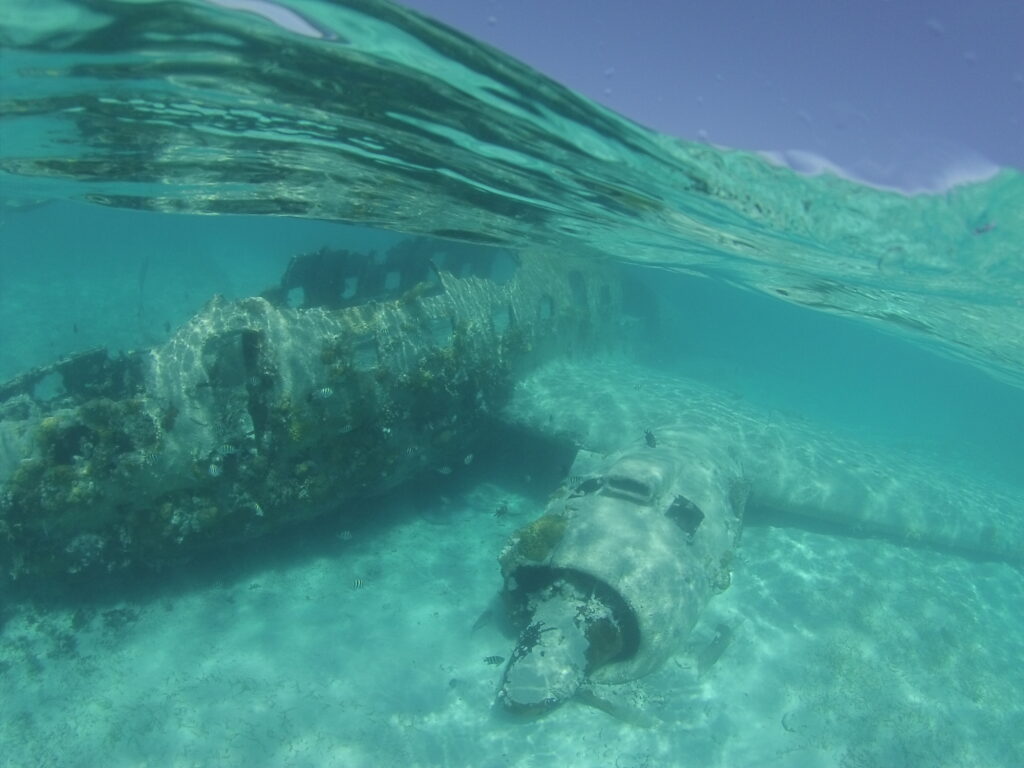 image shows an underwater view of a plane wreck in clear blue water